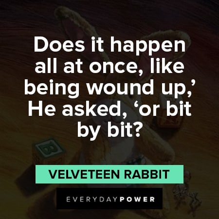 Velveteen Rabbit quotes about does it happen all at once