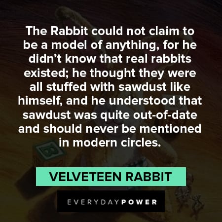 just a toy Velveteen Rabbit quotes
