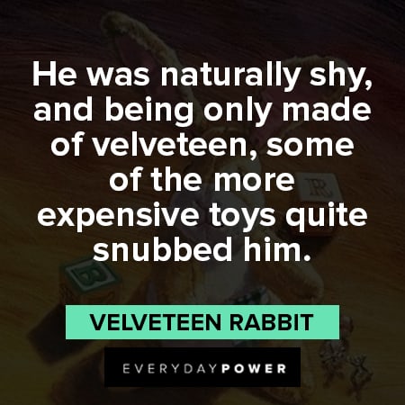 Velveteen Rabbit quotes about being only made of velveteen