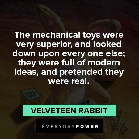 Velveteen Rabbit quotes about the mechanical toys