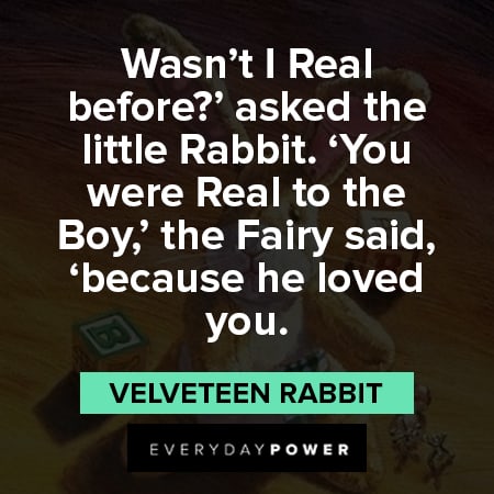 Velveteen Rabbit quotes about the little rabbit