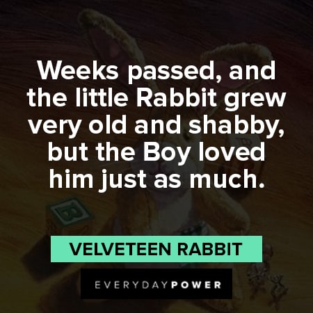 Velveteen Rabbit quotes and the little rabbit grew