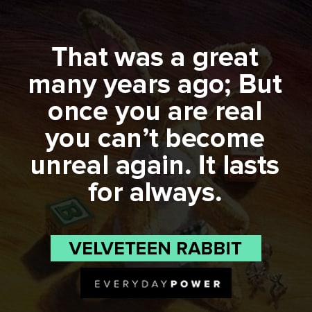 Velveteen Rabbit quotes that was a great many years ago