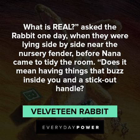 Velveteen Rabbit quotes about the nursery fender