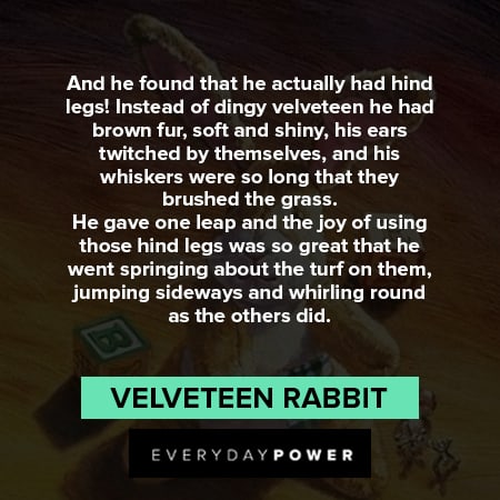 Velveteen Rabbit quotes about hind legs