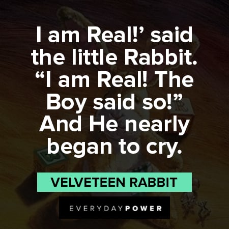 Velveteen Rabbit quotes about I'm real! said the little rabbit