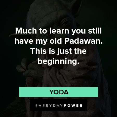 yoda quotes about much to learn you still have my old padawan