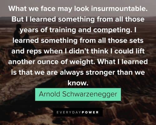 Arnold Schwarzenegger Quotes about what we face may look insurmountable