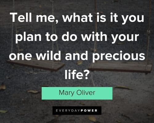Mary Oliver quotes about tell me, what is it you plan to do with your one wild and precious life