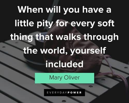 Mary Oliver quotes about a little pity for every soft thing that walks through the world