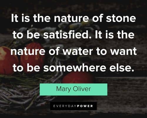 Mary Oliver quotes about it is the nature of water to want to be somewhere else