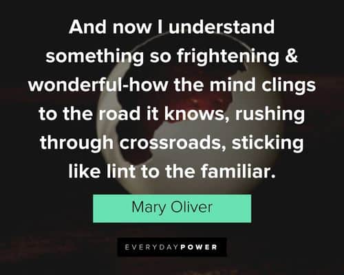 Mary Oliver quotes about sticking like lint to the familiar