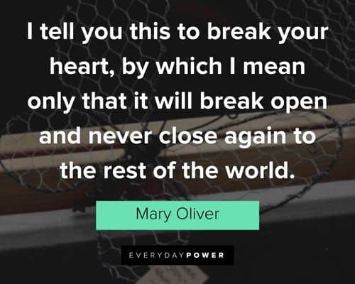 Mary Oliver quotes about I tell you this to break your heart