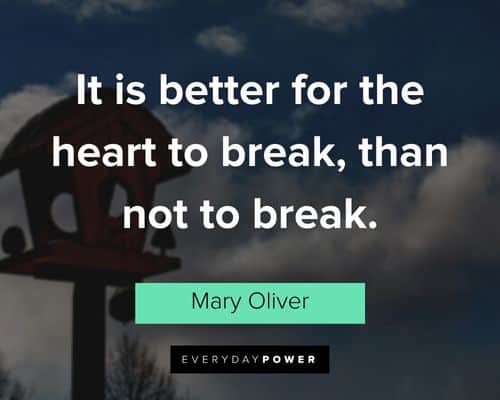 Mary Oliver quotes about it is better for the heart to break, than not to break