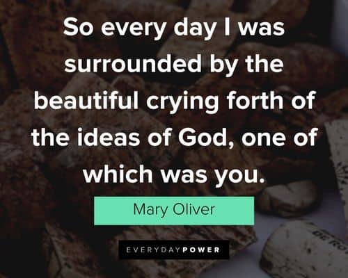 Mary Oliver quotes about I was surrounded by the beautiful crying forth of the ideas of God