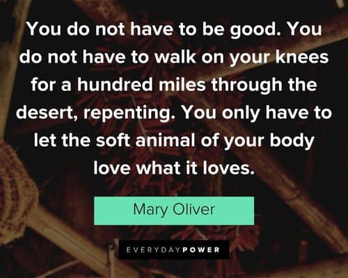 Mary Oliver quotes about you only have to let the soft animal of your body love what it loves