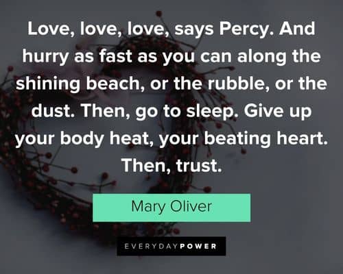 Mary Oliver quotes about and hurry as fast as you can along the shining beach
