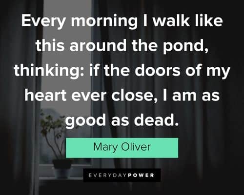 Mary Oliver quotes about every morning I walk like this around the pond