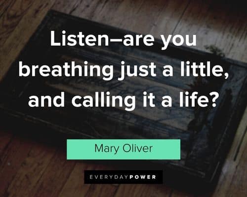Mary Oliver quotes about listen--are you breathing just a little, and calling it a life