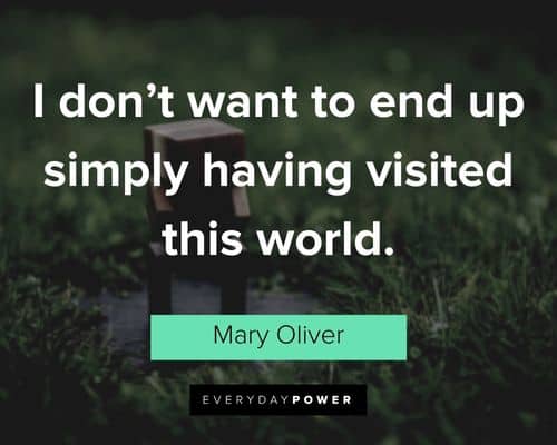 Mary Oliver quotes about I don't want to end up simply having visited this world
