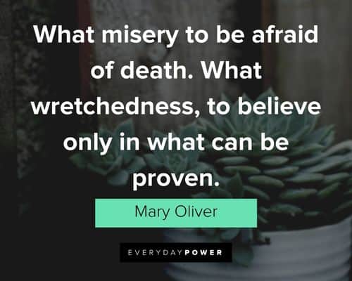 Mary Oliver quotes about what wretchedness, to believe only in what can be proven