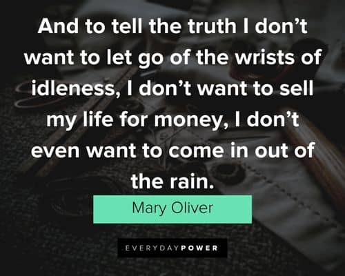 Mary Oliver quotes about I don't even want to come in out of the rain