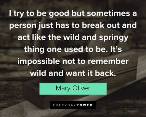 Mary Oliver quotes about it's impossible not to remember wild and want it back