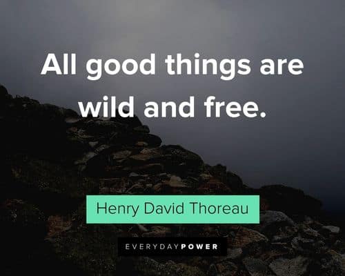 Henry David Thoreau Quotes about all good things are wild and free