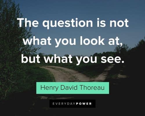 Henry David Thoreau Quotes about the question is not what you look at, but what you see