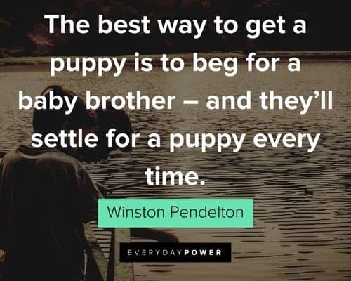 brother quotes about they’ll settle for a puppy every time