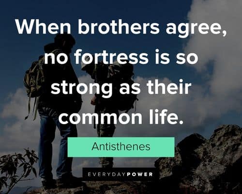 cute brother quotes about when brothers agree, no fortress is so strong as their common life