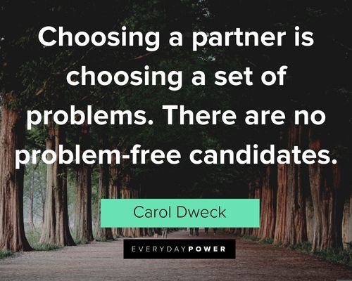 Carol Dweck Quotes about choosing a partner is choosing a set of problems