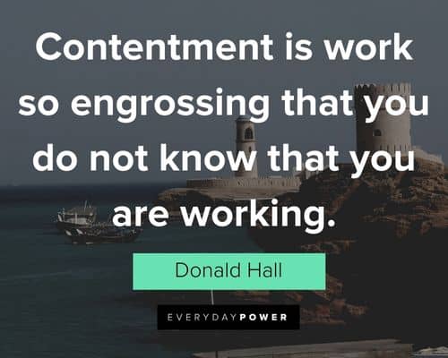 contentment quotes about contentment is work so engrossing that you do not know that you are working