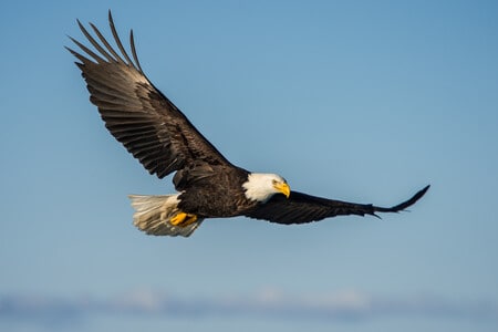 10 Quotes from The Eagles That Will Challenge Every Leader