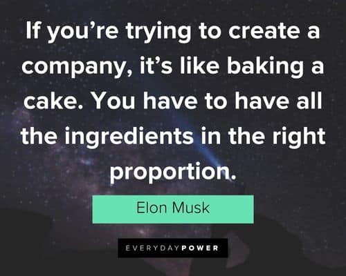 elon musk quotes about you have to have all the ingredients in the right proportion