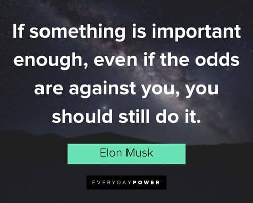 elon musk quotes about if something is important enough