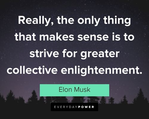 elon musk quotes about to strive for greater collective enlightenment
