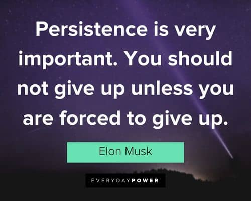 elon musk quotes about Persistence is very important