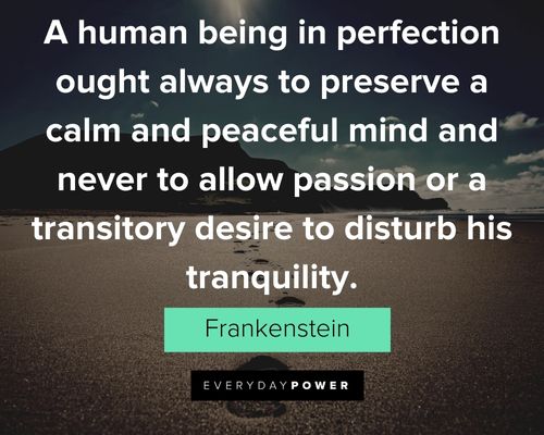 Frankenstein quotes about a human being in perfection ought always to preserve a calm