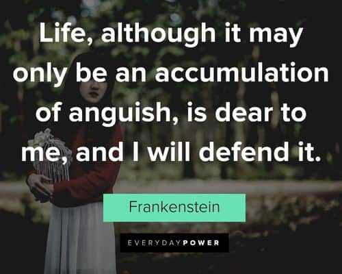 Frankenstein quotes about life, although it may only be an accumulation of anguish