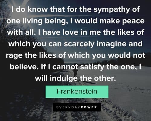Frankenstein quotes about the impact of our lives