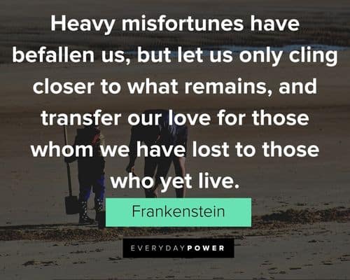 Frankenstein quotes about we have lost to those who yet live