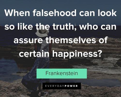 Frankenstein quotes about when falsehood can look so like the truth