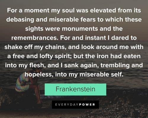 Frankenstein quotes about its debasing and miserable fears