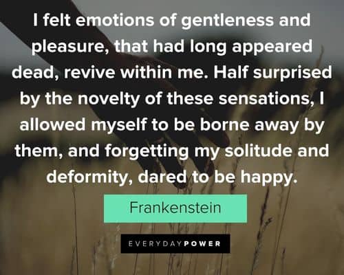 Frankenstein quotes about half surprised by the novelty of these sensations