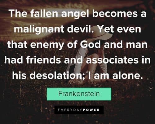 Frankenstein quotes about the fallen angel becomes a malignant devil