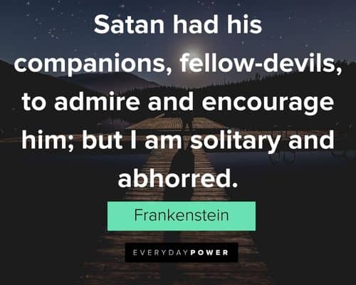 Frankenstein quotes about I am solitary and abhorred