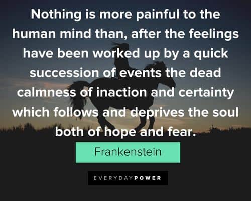 Frankenstein quotes about the feelings have been worked up by a quick succession of events