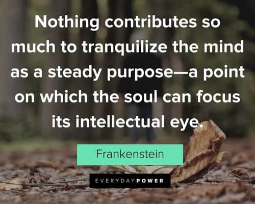 Frankenstein quotes about a point on which the soul can focus its intellectual eye