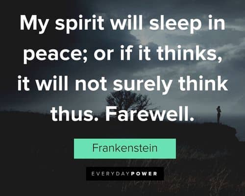 Frankenstein quotes about my spirit will sleep in peace; or if it thinks, it will not surely think thus. Farewell